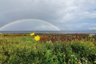 klimaatneutraal wonen