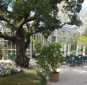 Botanic Garden Amsterdam