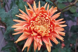 Colourtherapy in Nature