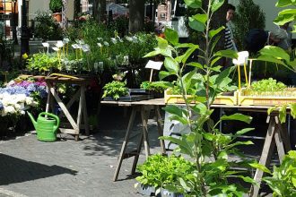 Utrecht Flower Market