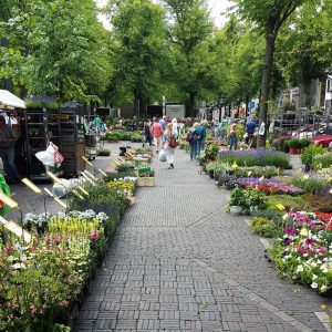 Flower Market Utrecht