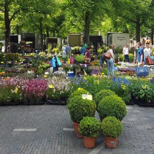 Utrecht Flower Market