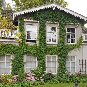 Botanic Garden Amsterdam