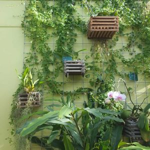 Greenhouse