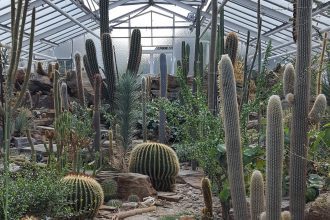 Greenhouse