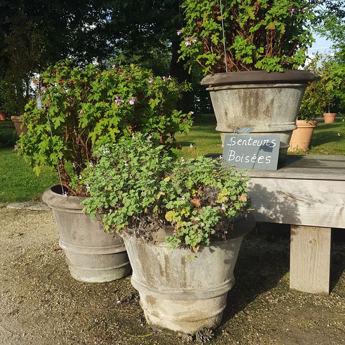 Brittany gardens Dailygreenspiration