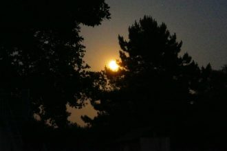 Dark Sky