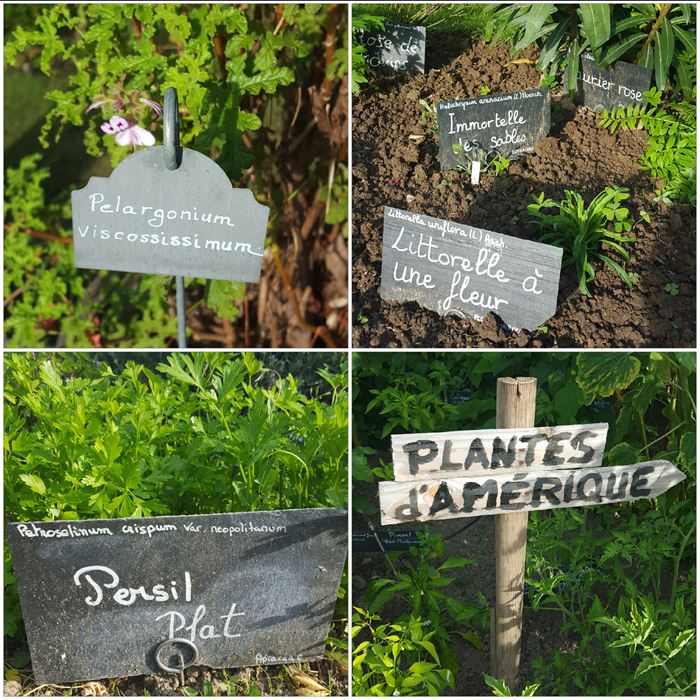 Bretagne Dailygreenspiration