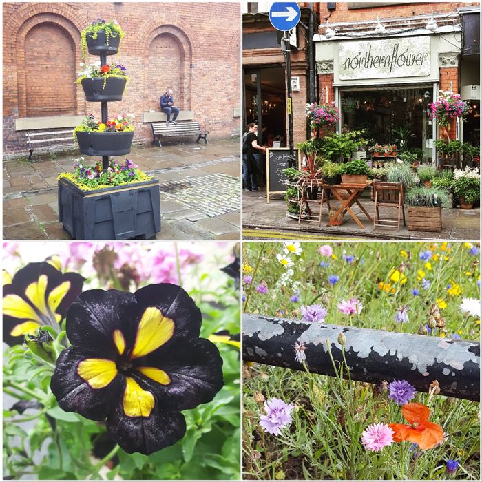 Manchester DailyGreenspiration
