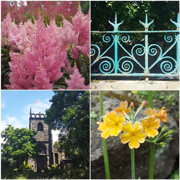 Manchester DailyGreenspiration green summer city