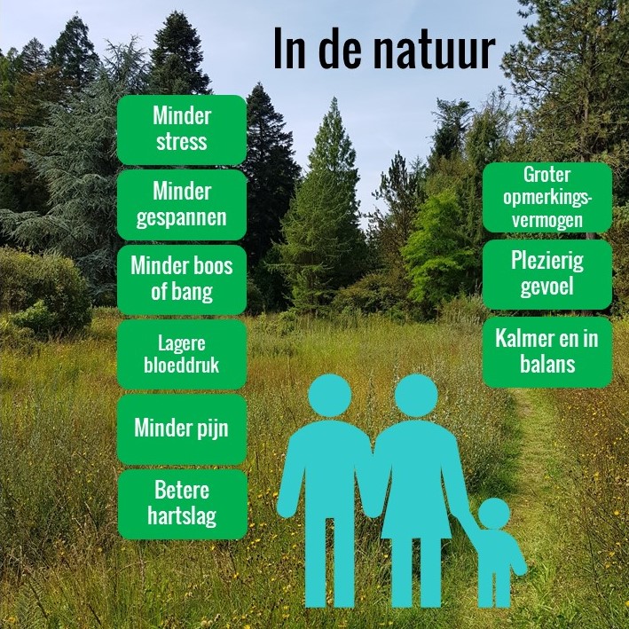 de natuur