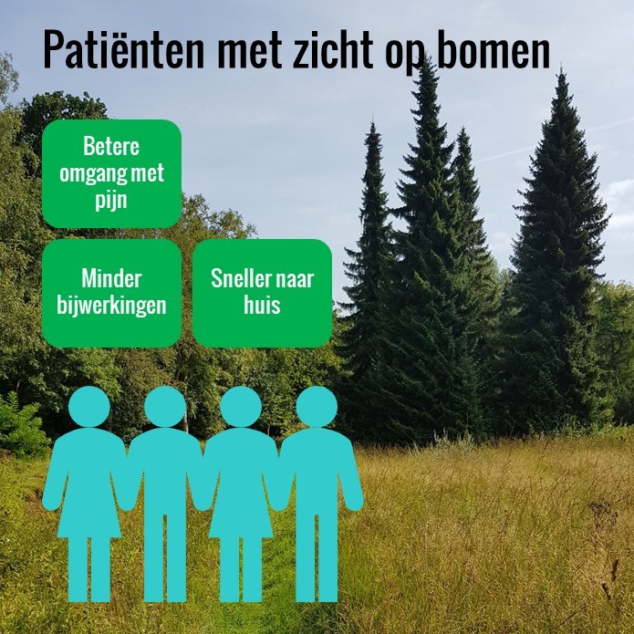 de natuur