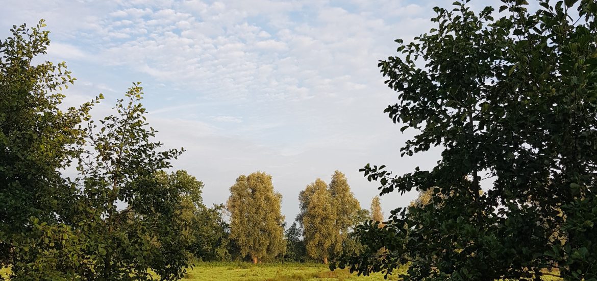de natuur