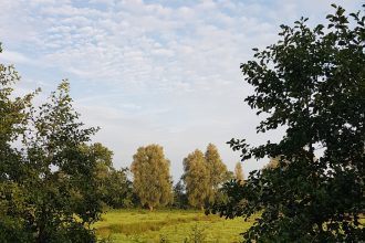 de natuur