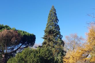 Plantentuin Gent