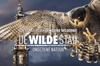 De Wilde Stad