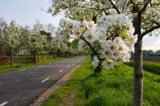 Zuidwest Drenthe