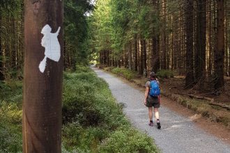 Harz
