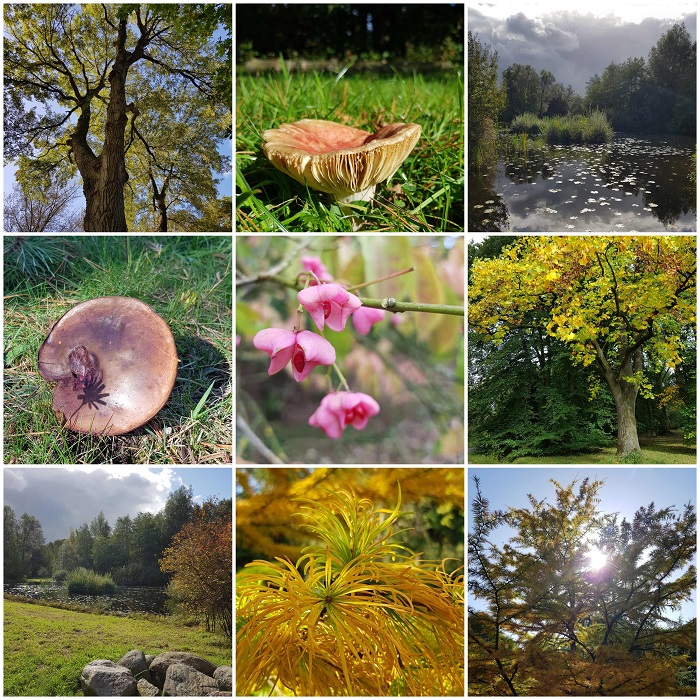 arboretum poort bulten