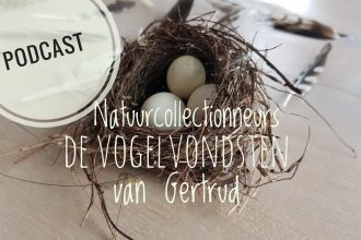 vogelvondsten