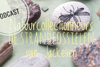 strandfossielen