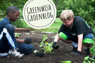 moestuinieren met kinderen