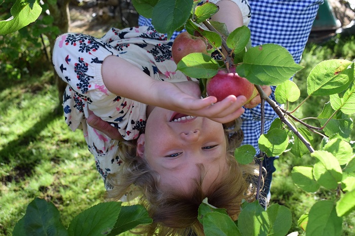 moestuinieren met kinderen