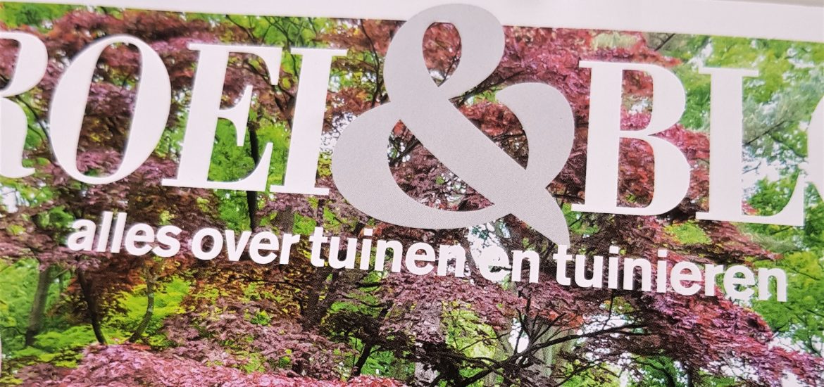 groei & bloei