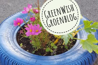 Guerrilla Gardening