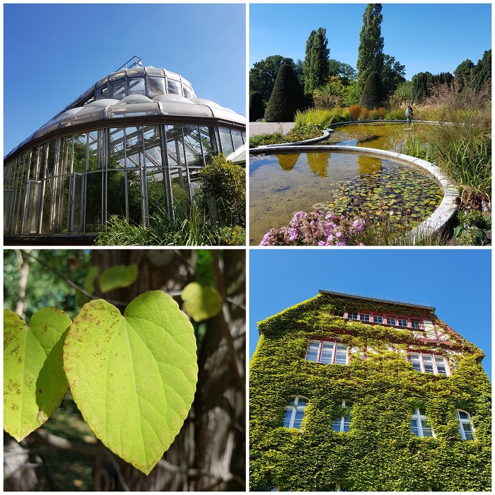 botanische tuin in berlijn 