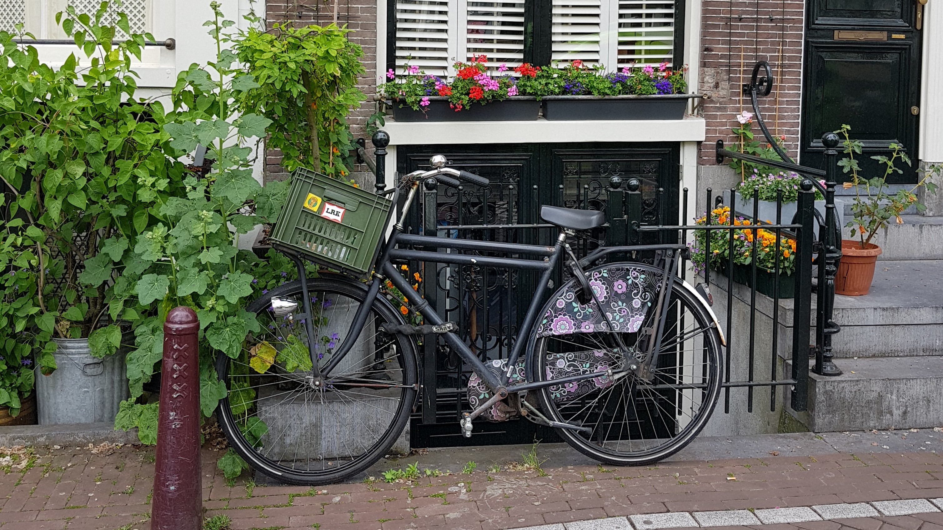 Tips & trucs uit de geveltuinen van Amsterdam ⋆ DailyGreenspiration