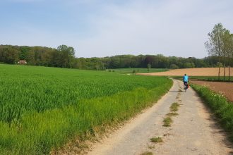landschappen van bruegel