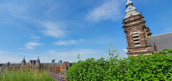 artikel over bkauwgroene daken in Amsterdam