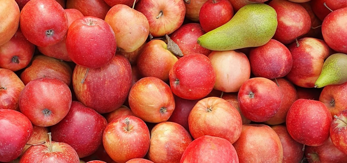 Appels en peren oogsten