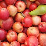 Appels en peren oogsten