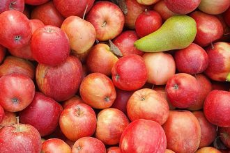 Appels en peren oogsten