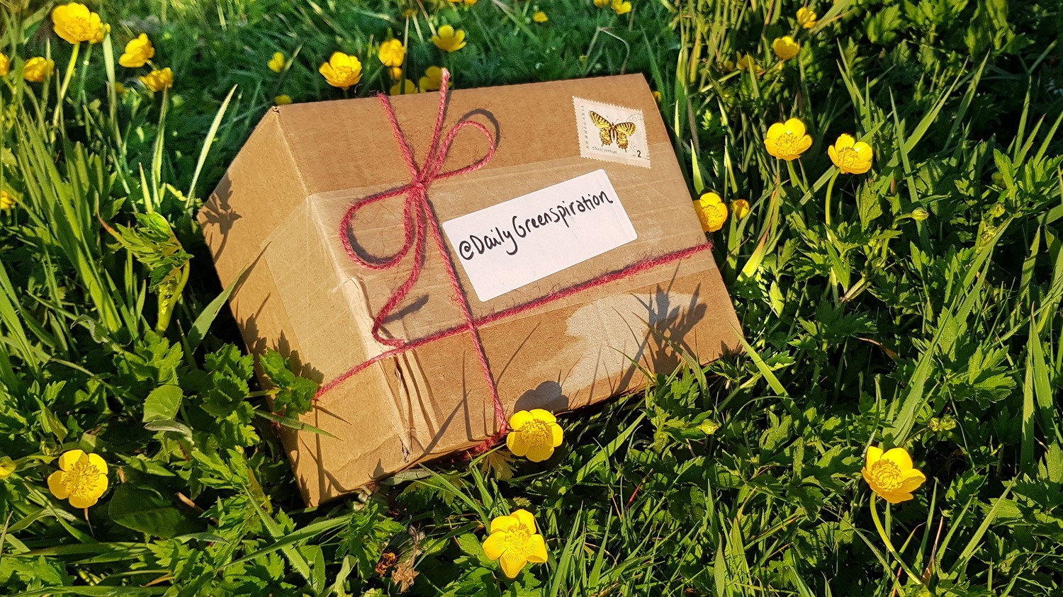In de groene brievenbus - DailyGreenspiration