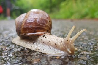 natuur en recreatie