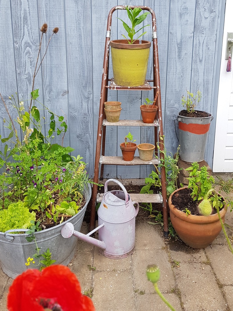 Zo Maak Ik Mijn Tuin Bezoekklaar Voor De Open Tuinendag