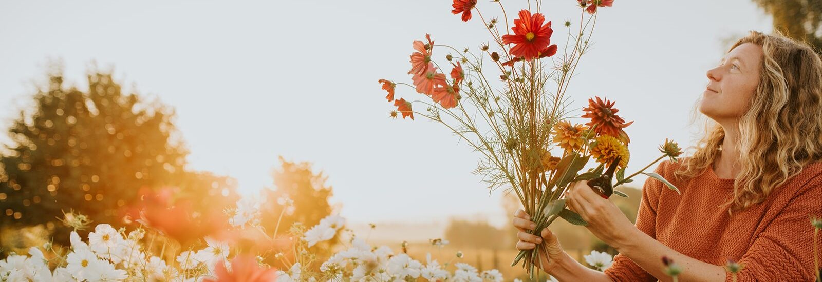 slow flowers boek