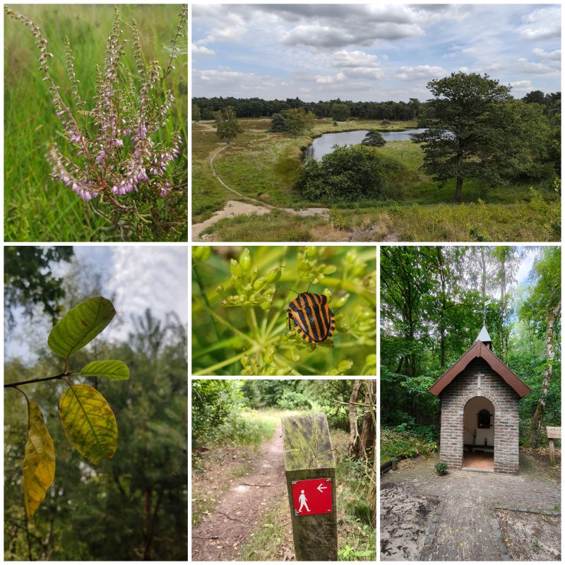 Maasduinen, Duvelskuulroute