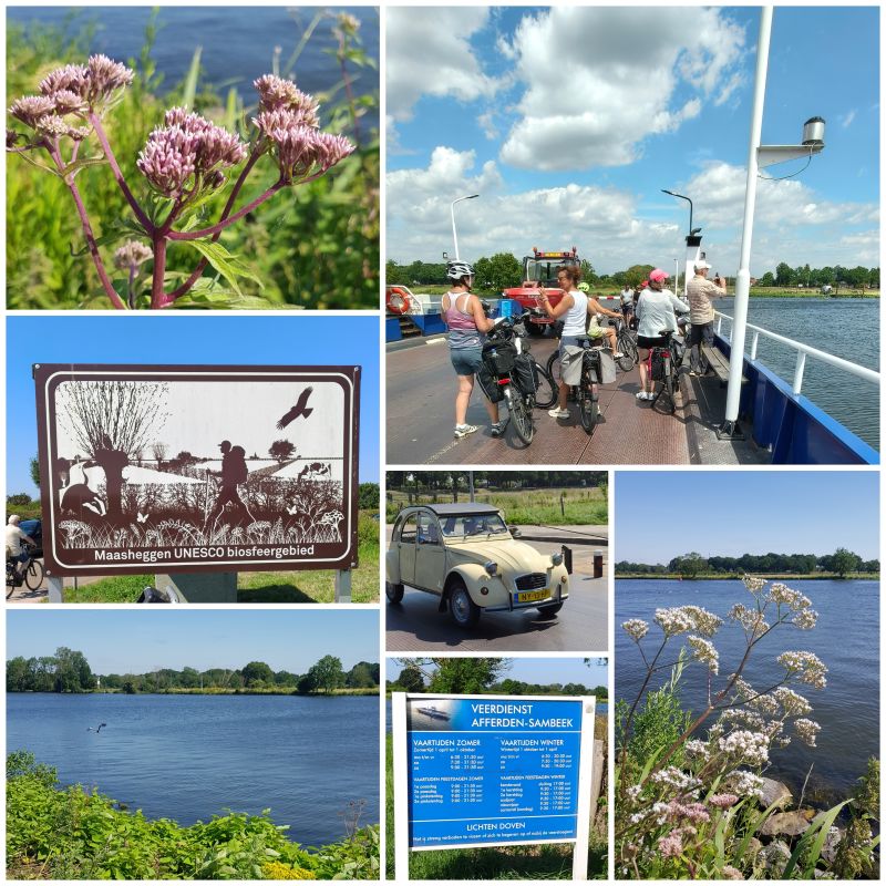Veerpont Afferden-Sambeek naar Maasheggen